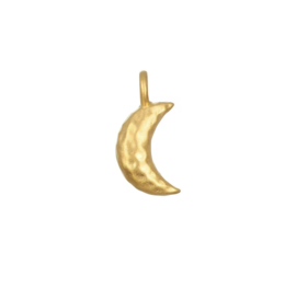 Bedel stainless steel Moon Goud