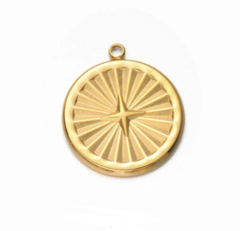 Bedel / hanger Coin star stainless steel Goud