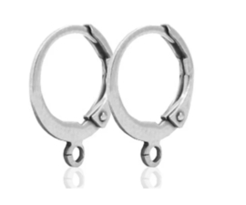 Stainless steel oor ringen met oogje