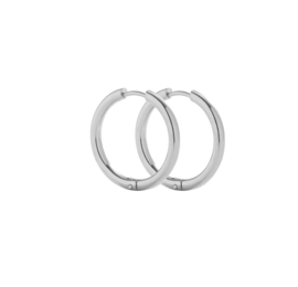 Oorbellen stainless steel ( RVS ) 16mm zilver 2 paar