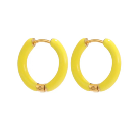 Oorbellen / oorringen stainless steel Goud - Geel 14mm