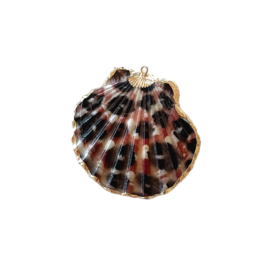 Schelp hanger scallop leopard gold  2 stuks