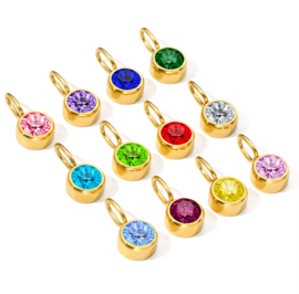 Stainless steel birthstones Goud