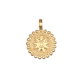 Bedel star stainless steel Goud