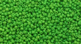 Rocailles 3mm appel groen