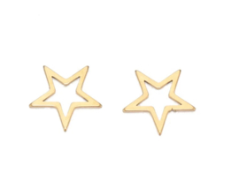 Bedel - tussenstuk ster stainless steel Goud s stuks