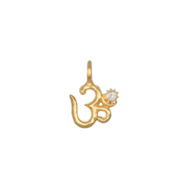 Bedel  OM stainless steel Goud