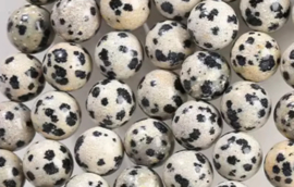 Natuursteen kralen Dalmation Jaspis 6mm