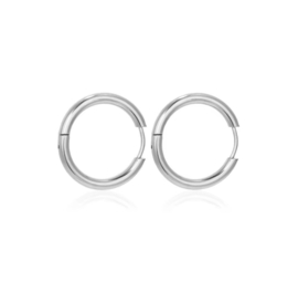 Oorbellen stainless steel ( RVS ) 8mm  2 paar
