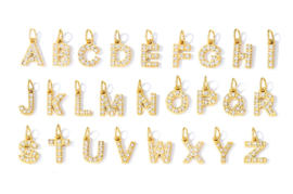 Bedel / initial Letters stainless steel & zirkonia