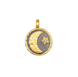 Bedel Moon & Stars stainless steel Goud