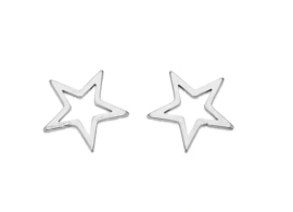 Bedel - tussenstuk ster zilver stainless steel 5 stuks