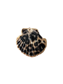 Schelp hanger leopard Goud - zwart