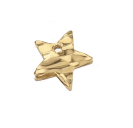 Bedel ster stainless steel Goud 12,5mm