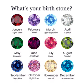 Stainless steel birthstones Goud