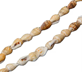 Trompet schelpjes - wulkje brown mix  per streng