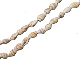 Trompet schelpjes ( wulkjes ) ongebleekt beige per streng