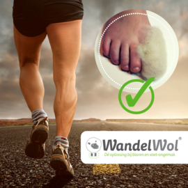 Wandelwol10 gr