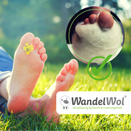 Wandelwol10 gr