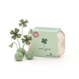 Klavertjes in eierdoosje:  Veel geluk