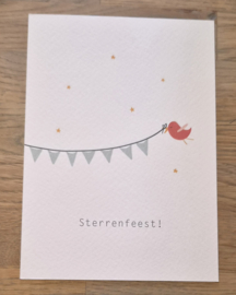 Ansichtkaart: Sterrenfeest!