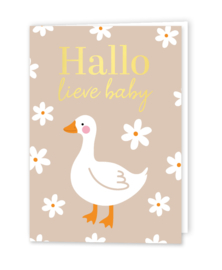 Wenskaart: Hallo lieve baby