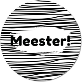 Muismat meester