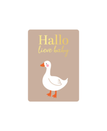 Cadeaukaart A7: Hallo lieve baby