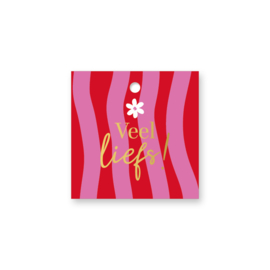 Cadeaulabel:  Veel liefs! (div.kleuren)