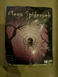 Mega spinnenweb