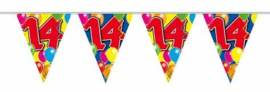 Vlaggenlijn 14 jaar balloons