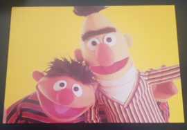 Ansichtkaart  Sesamstraat: Bert en Ernie