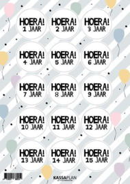 A5 stickervel met 15 stickers Leeftijden