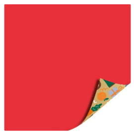Cadeaupapier: Schoencadeautje (1 meter)