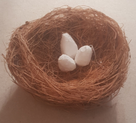 Nestje met eitjes