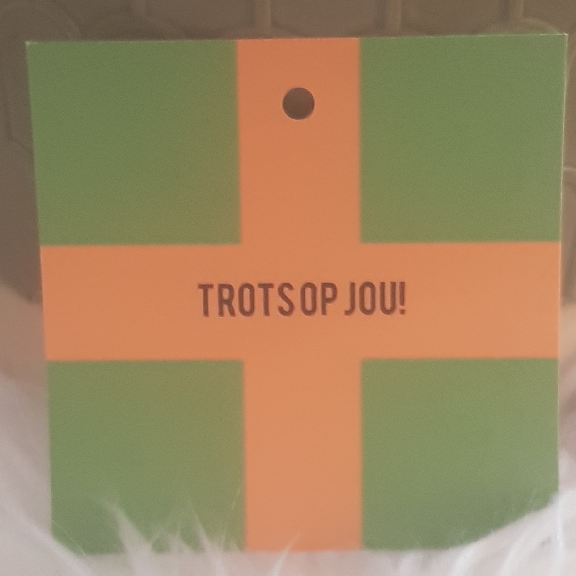 Cadeaulabel:  Trots op jou!