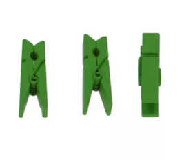 Houten knijper: Groen