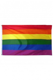 Regenboog vlag