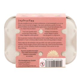 Bloemenboeket in eierdoosje:  Bedankt!