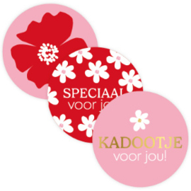 Stickerset: Speciaal voor jou! (3 varianten)