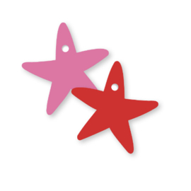 Cadeaulabel: Ster rood/roze (dubbelzijdig)