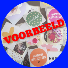 Verrassingsset van 25 sluitstickers  thema: algemeen
