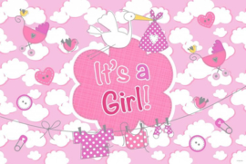 Raamvlag: It's a girl!