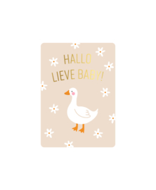 Cadeaukaart A7: Hallo lieve baby + bloemen