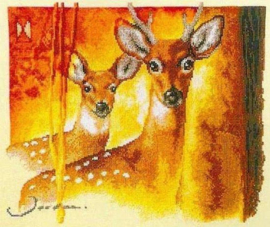 Borduurpakket - Beautiful Eyes - Vervaco (linnen)