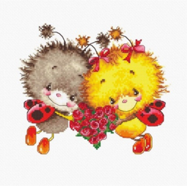 Borduurpakket - Ladybug - Luca-S