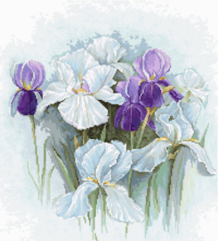 Borduurpakket - Irisis - Luca-S