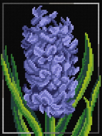 Borduurpakket voorbedrukt - Orchidea - Hyacinth - Hyacint