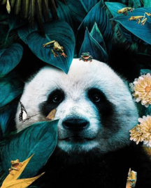 Diamond Painting Mona Lisa - Panda - 30 x 40 cm - full cover