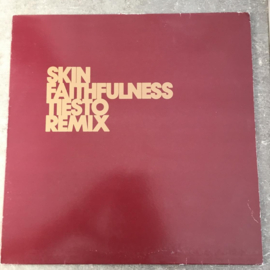 Skin – Faithfulness (Tiesto Remix)